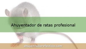 Ahuyentadores de ratas profesional