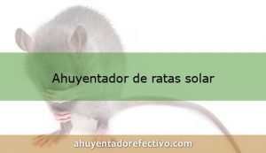 Ahuyentadores de ratas solar
