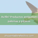 ¿Qué es Avifin? Productos antiposamiento de palomas y pájaros